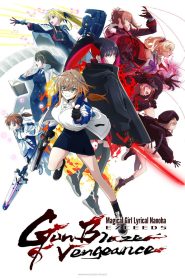 Magical Girl Lyrical NANOHA EXCEEDS Gun Blaze Vengeance